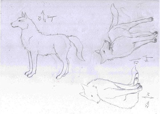 Wölfe von Catori illustriert